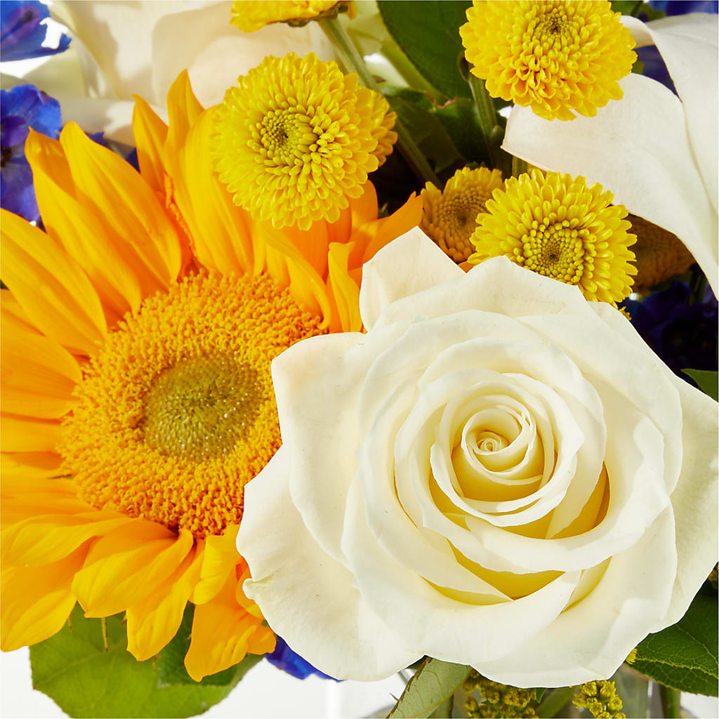 Stargazing Bouquet –  Greater Wichita Flower Shop, Wichita KS