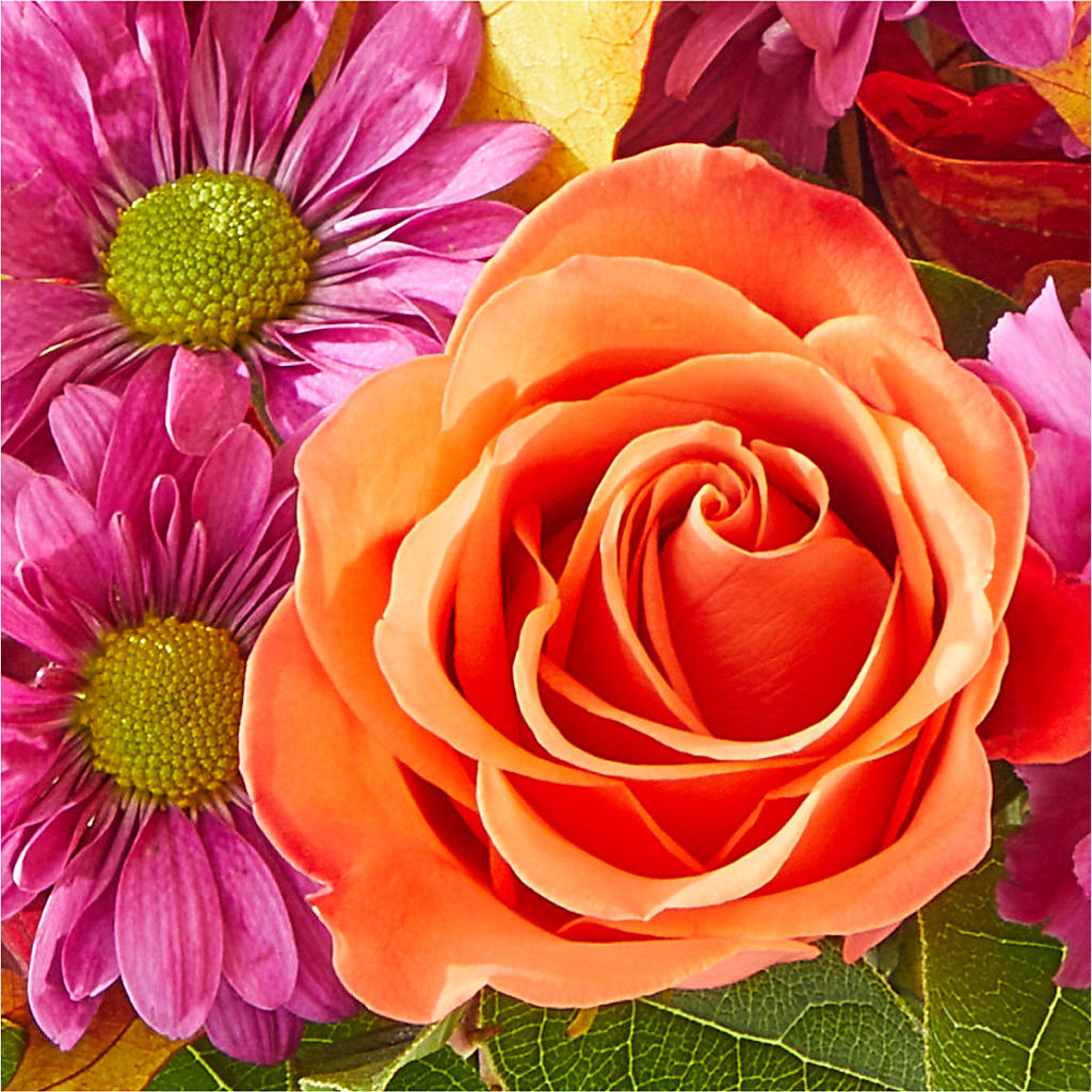 Mum's the Word Bouquet –  Greater Wichita Flower Shop, Wichita KS