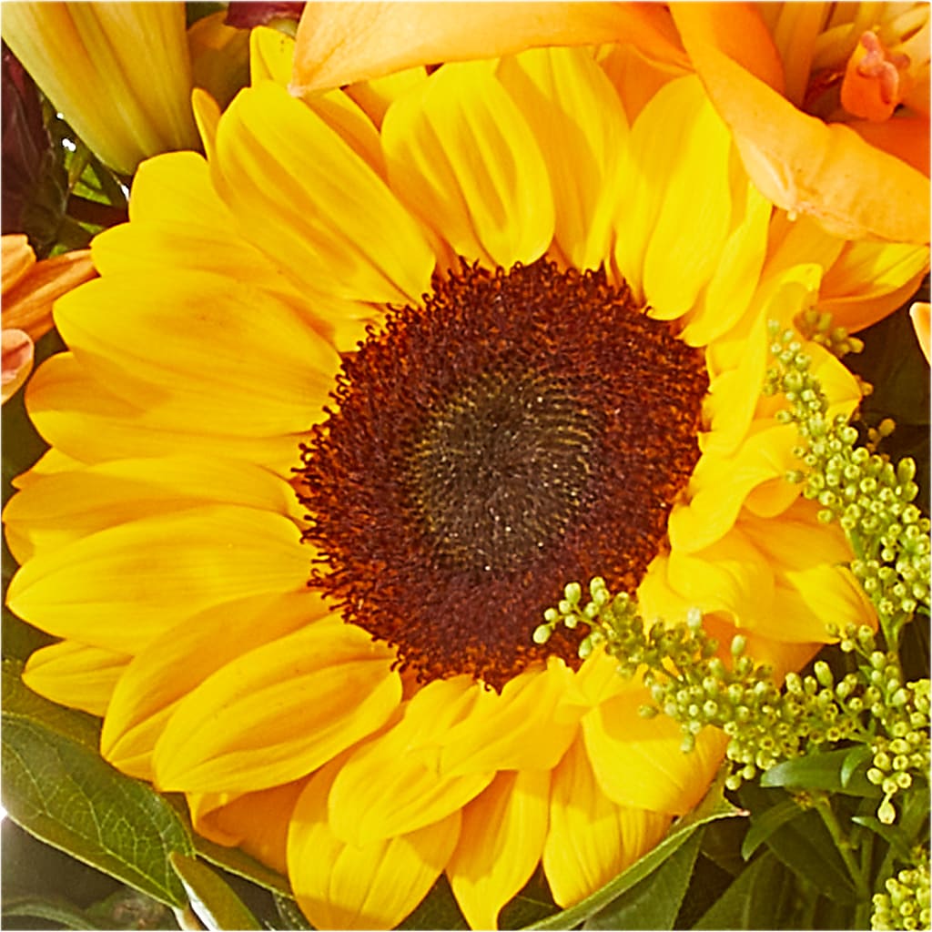 Seasons Change Bouquet –  Greater Wichita Flower Shop, Wichita KS