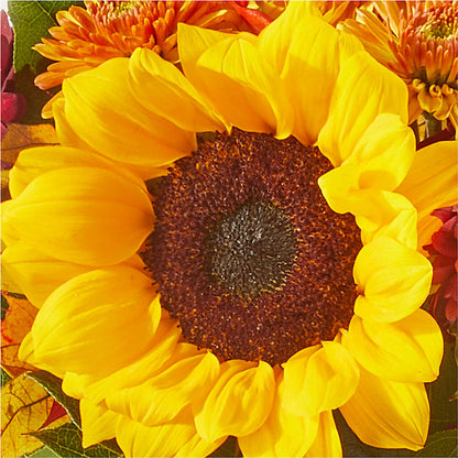 Sunny Side Bouquet –  Greater Wichita Flower Shop, Wichita KS