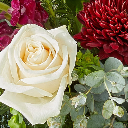 Cranberry Fizz Bouquet –  Greater Wichita Flower Shop, Wichita KS