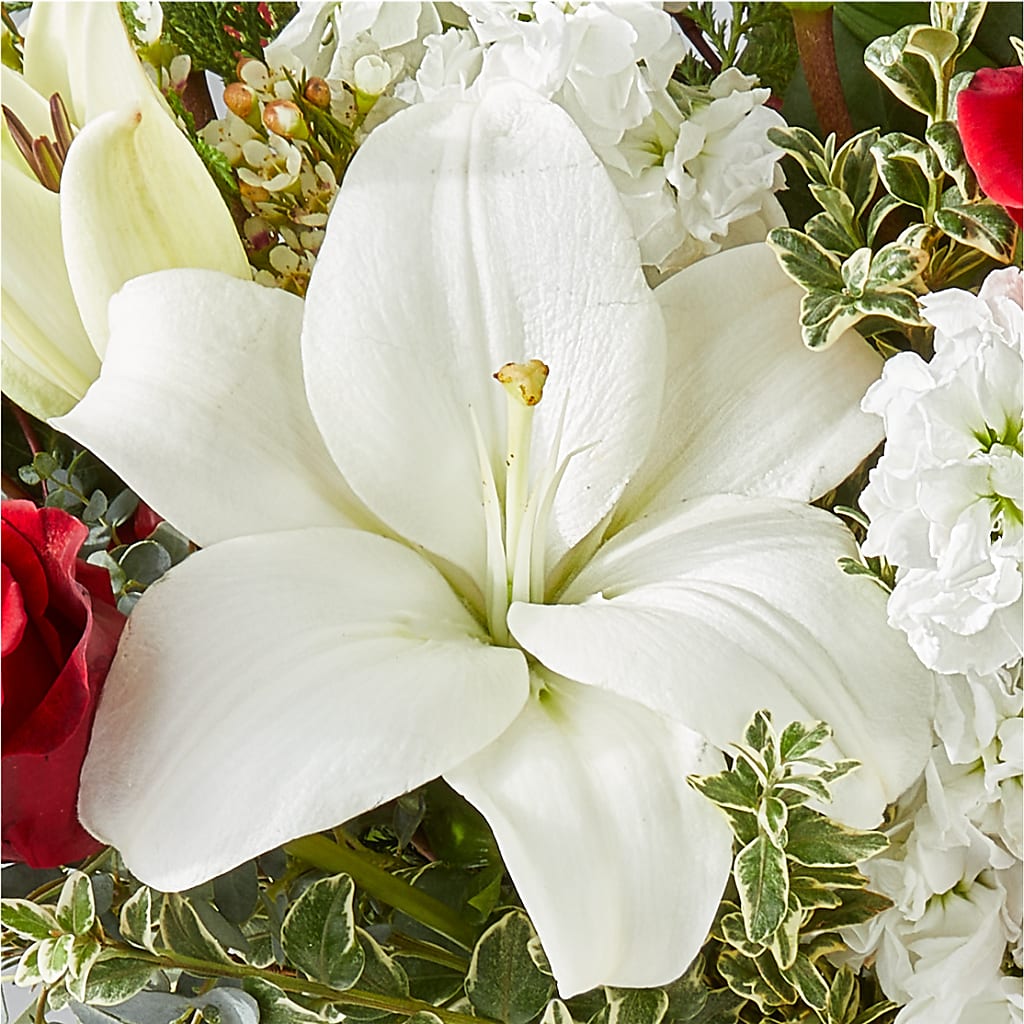 Twinkle Lights Bouquet –  Greater Wichita Flower Shop, Wichita KS