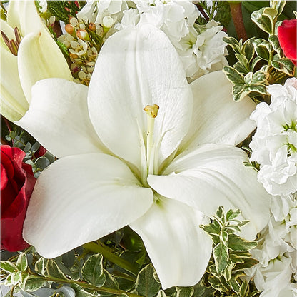 Twinkle Lights Bouquet –  Greater Wichita Flower Shop, Wichita KS