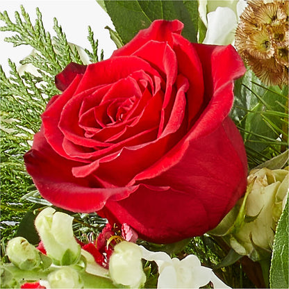 Deck the Halls Bouquet –  Greater Wichita Flower Shop, Wichita KS