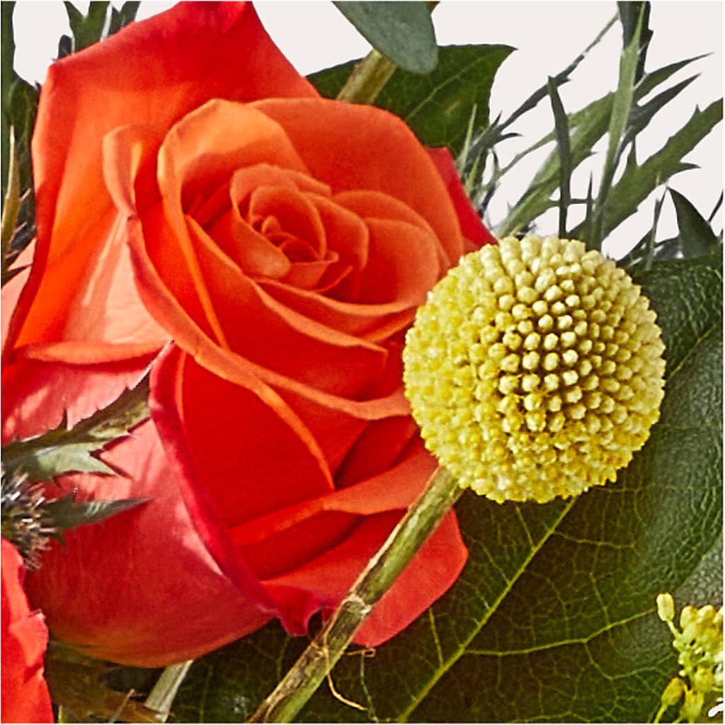 Disco Bouquet –  Greater Wichita Flower Shop, Wichita KS