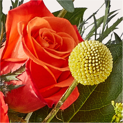 Disco Bouquet –  Greater Wichita Flower Shop, Wichita KS