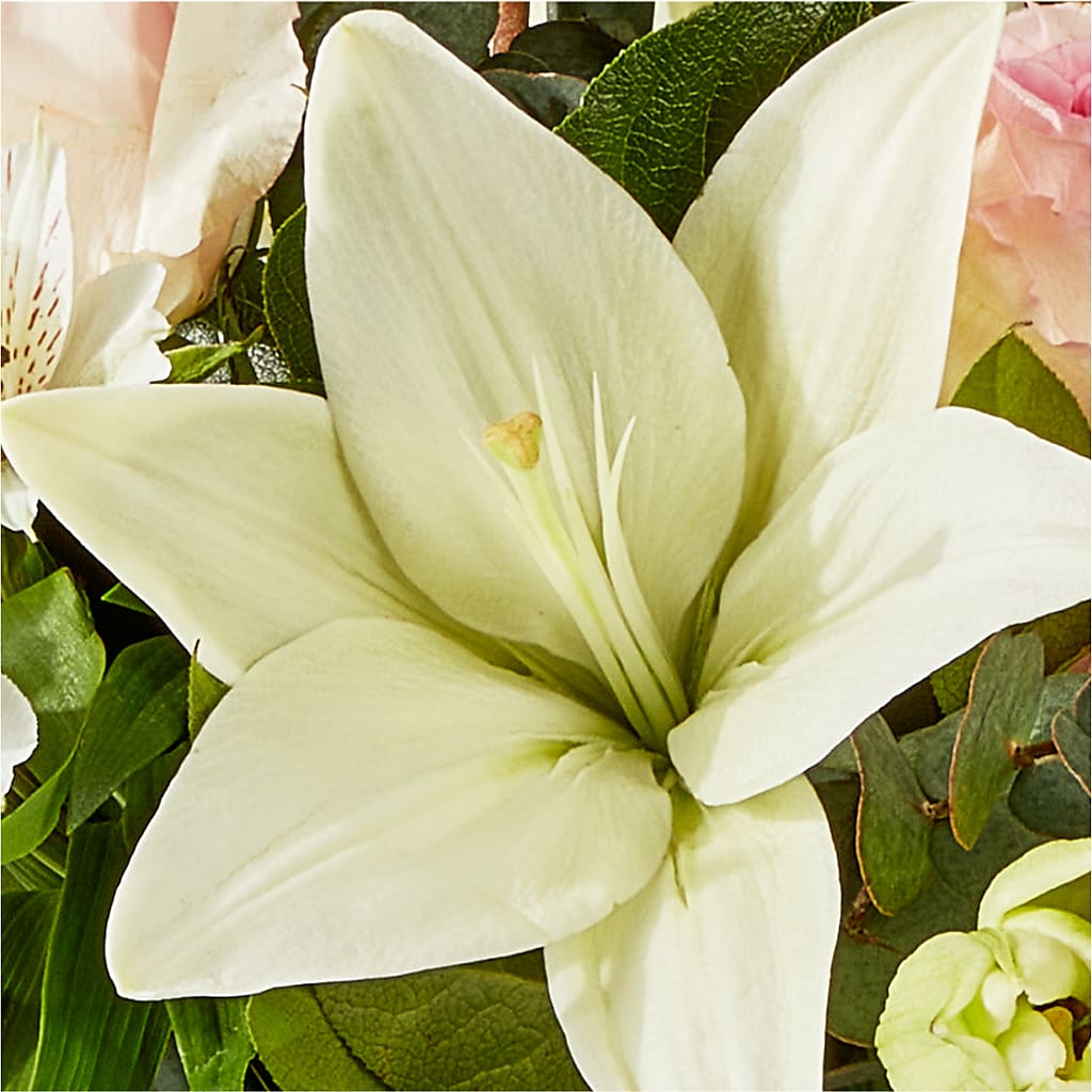 Ballet Slippers Bouquet –  Greater Wichita Flower Shop, Wichita KS