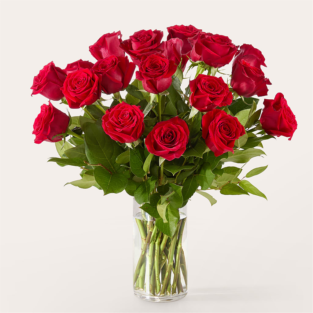 The One Red Rose Bouquet –  Greater Wichita Flower Shop, Wichita KS