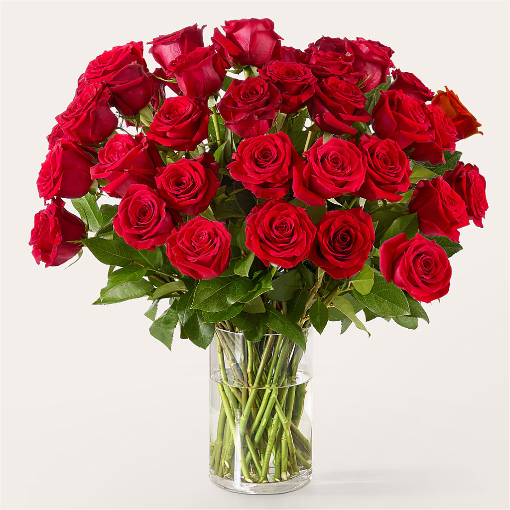 The One Red Rose Bouquet –  Greater Wichita Flower Shop, Wichita KS