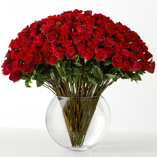 The Idealist –  Greater Wichita Flower Shop, Wichita KS