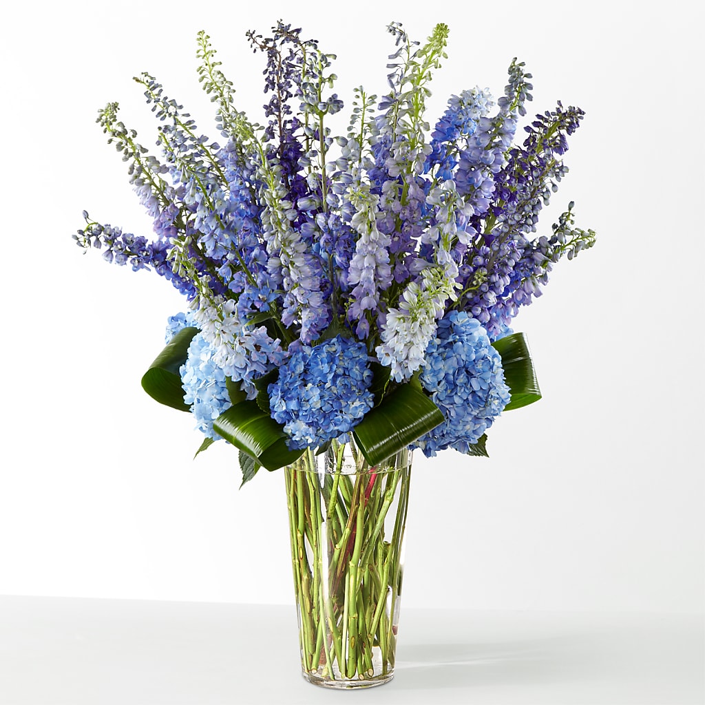 The Editorial –  Greater Wichita Flower Shop, Wichita KS