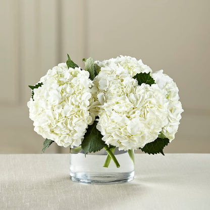 White Hydrangea Bouquet –  Greater Wichita Flower Shop, Wichita KS