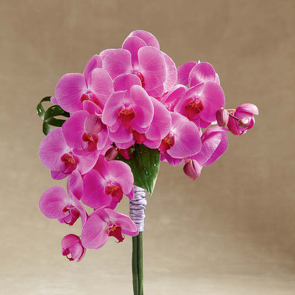 Glorious Bouquet –  Greater Wichita Flower Shop, Wichita KS