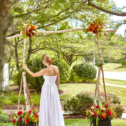 Arbor of Love Archway –  Greater Wichita Flower Shop, Wichita KS